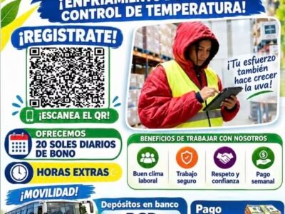 Campaña de cosecha y packing de uva