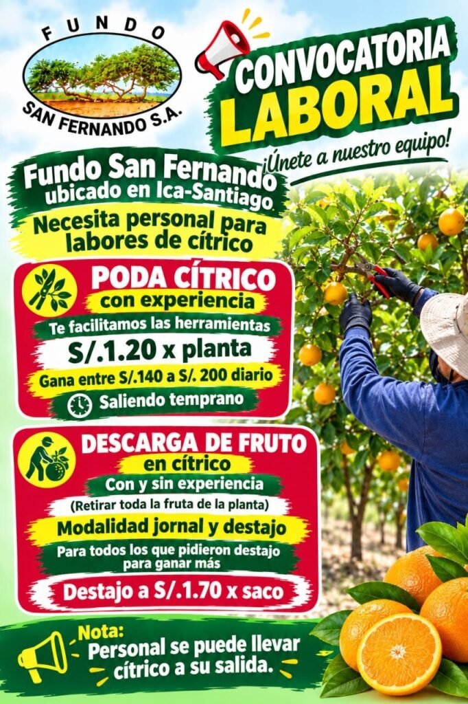 Personal para agricola san Fernando - Imagen 2