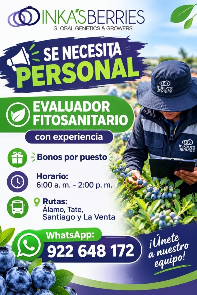 Evaluador Fitosanitario para INKA’S BERRIES en Álamo, Tate, Santiago y La Venta