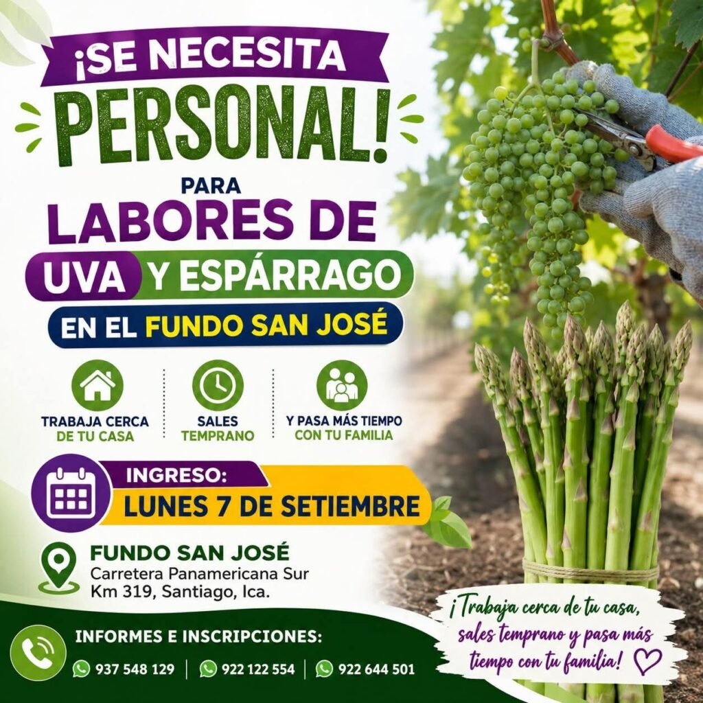 Personal para Cultivo de Uva y Espárrago en Santiago, Ica