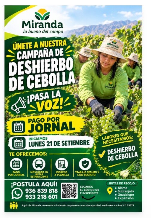 Nuevas oportunidades laborales en Ica - Imagen 3