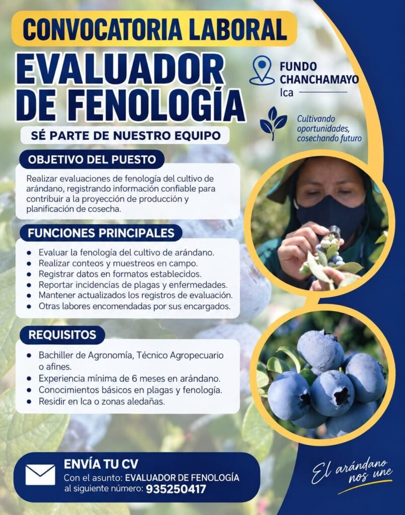 Evaluador de Fenología para Cultivo de Arándano en Ica