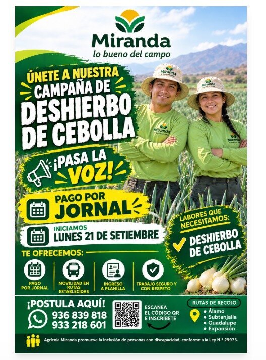 Deshierbo de cebolla