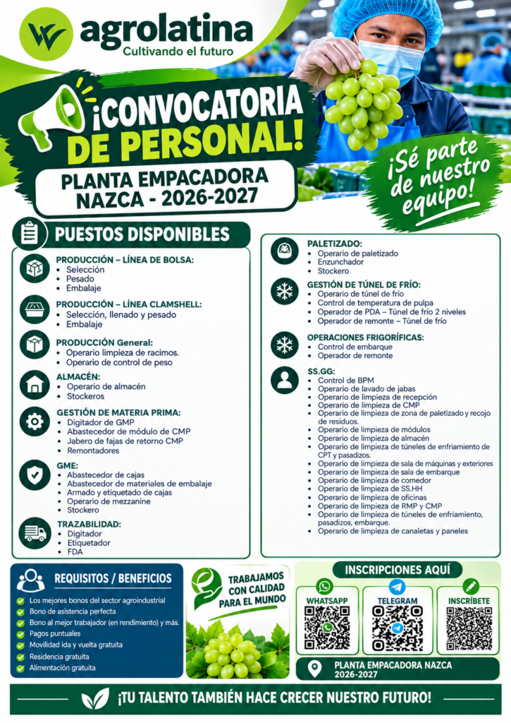 Convocatoria de personal para packing Agrolatina en Nazca