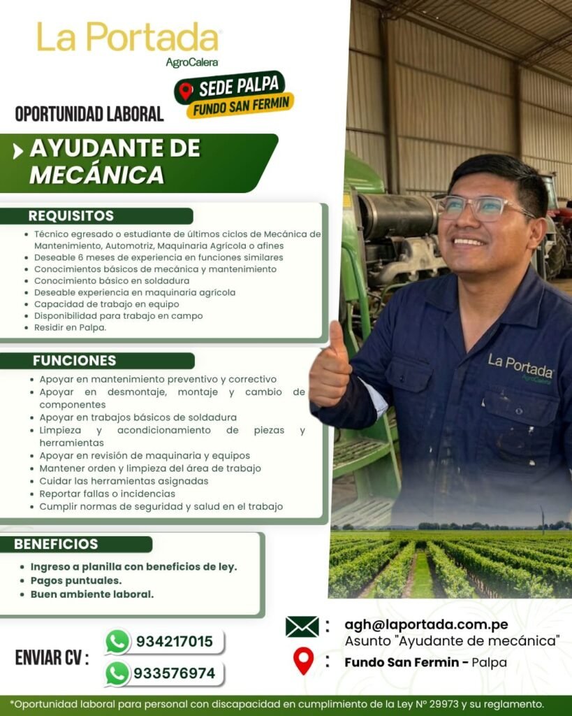 Trabajo en la Portada SAC - Imagen 2