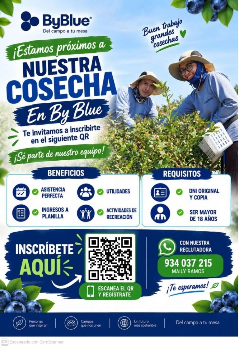Cosecha de arándanos en ByBlue