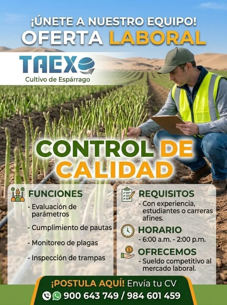 Control de Calidad en Cultivo de Espárrago en Ica