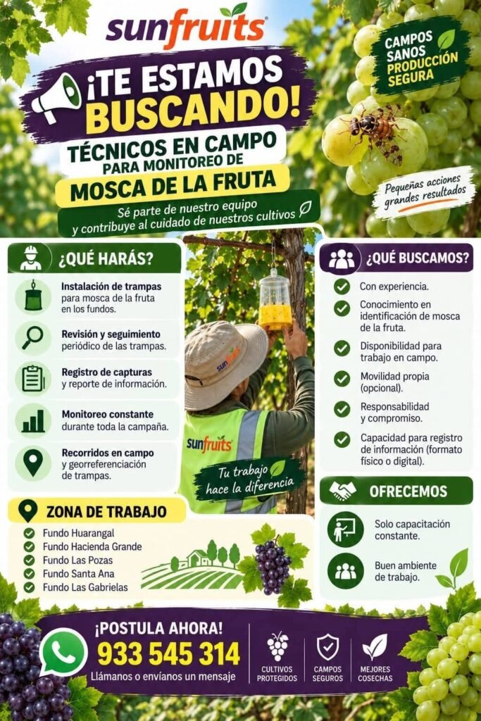 Nuevos trabajos en Sunfruits - Imagen 2