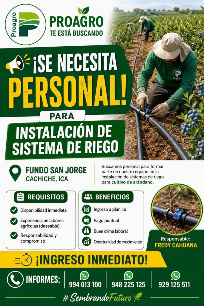 Personal para Instalación de Sistemas de Riego en Cachiche, Ica