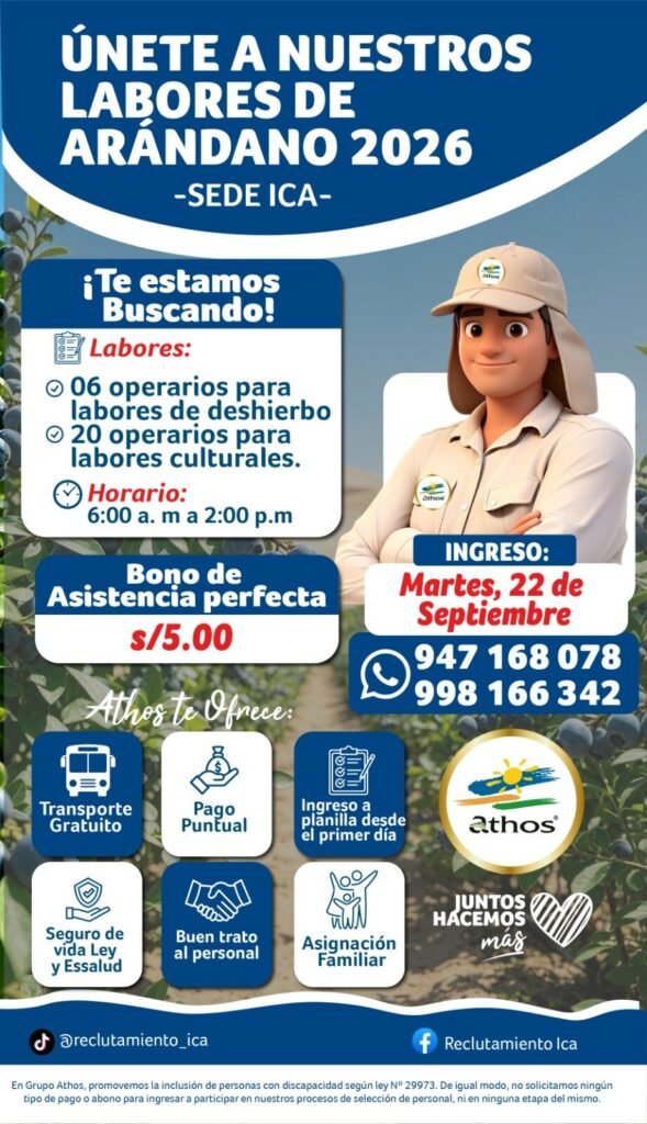 Operarios para Labores de Arándano en Ica 2026