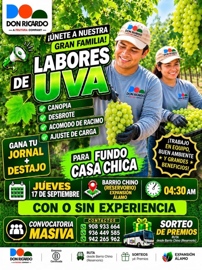 Reclutamiento masivo en Agricola Don Ricardo - Imagen 4