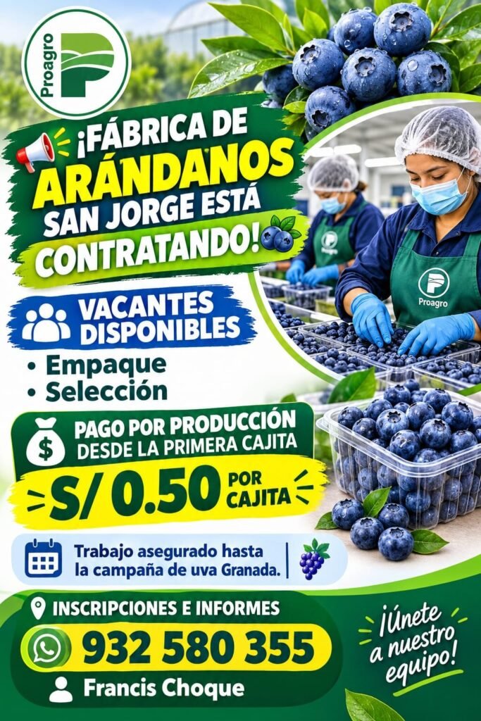 Personal para packing Proagro – San jorge