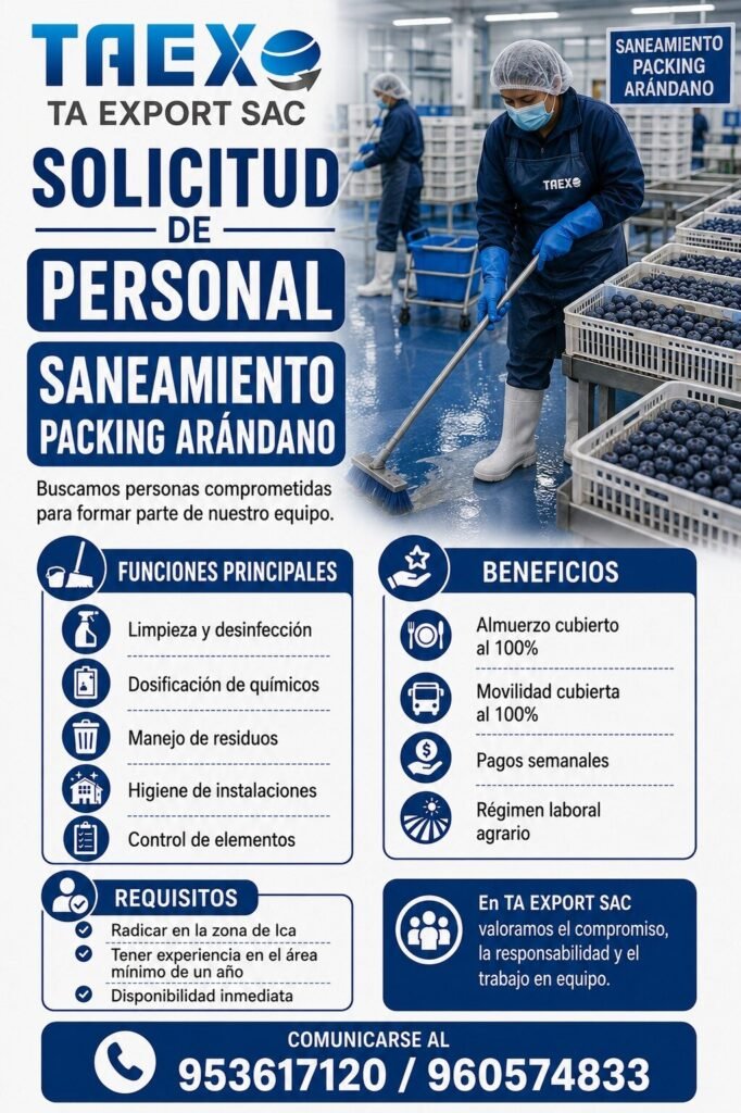 Nuevas oportunidades laborales en TA Export - Imagen 3
