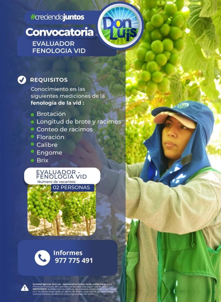 Evaluador Fitosanitario en Agroindustria Campo Verde, Ica - Imagen 2