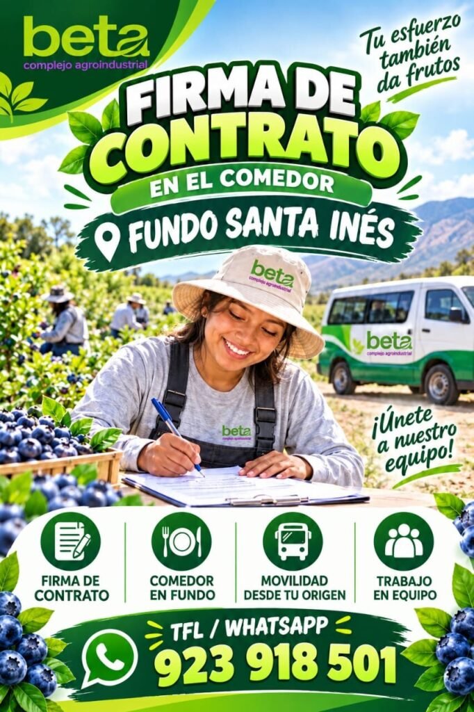 Colaboradores Agrícolas en Fundo Santa Inés, Ica