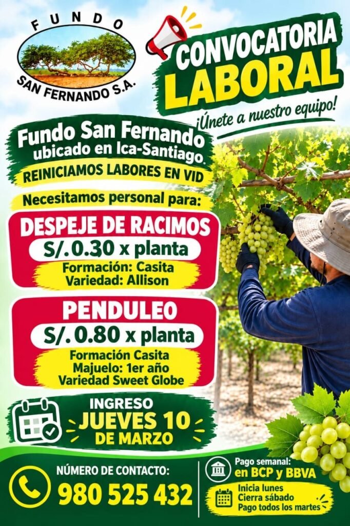 Personal para agricola san Fernando