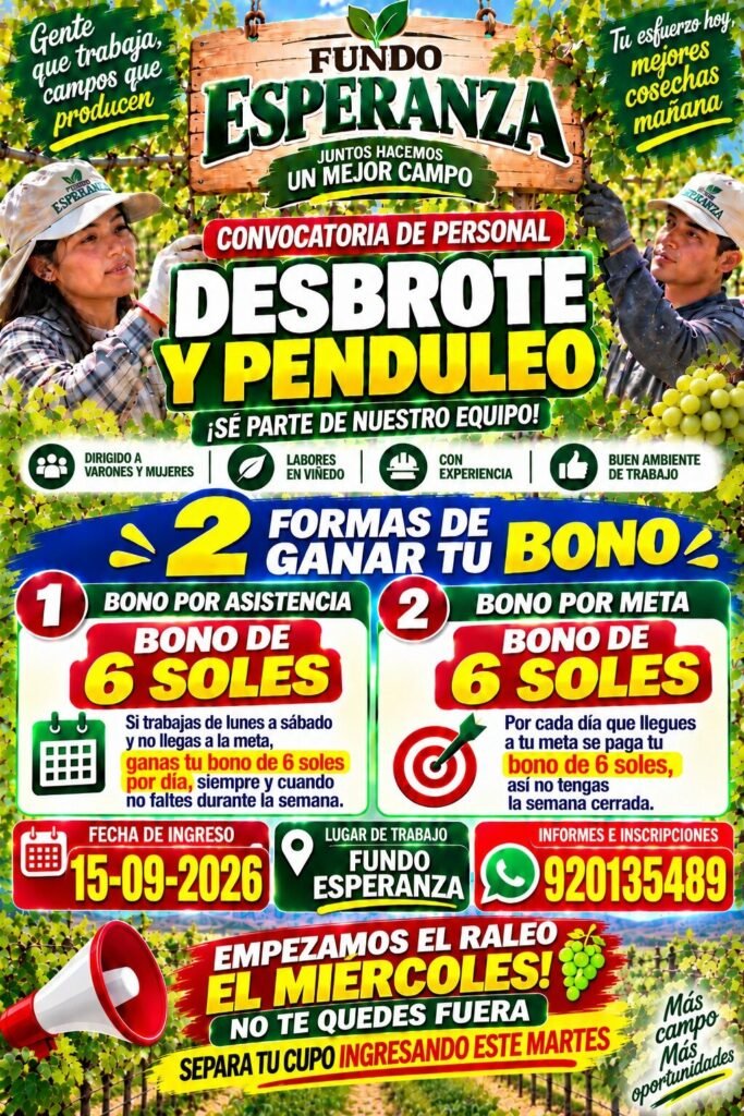 Trabajo en Fundo esperanza - Grupo Vanguard - Imagen 6