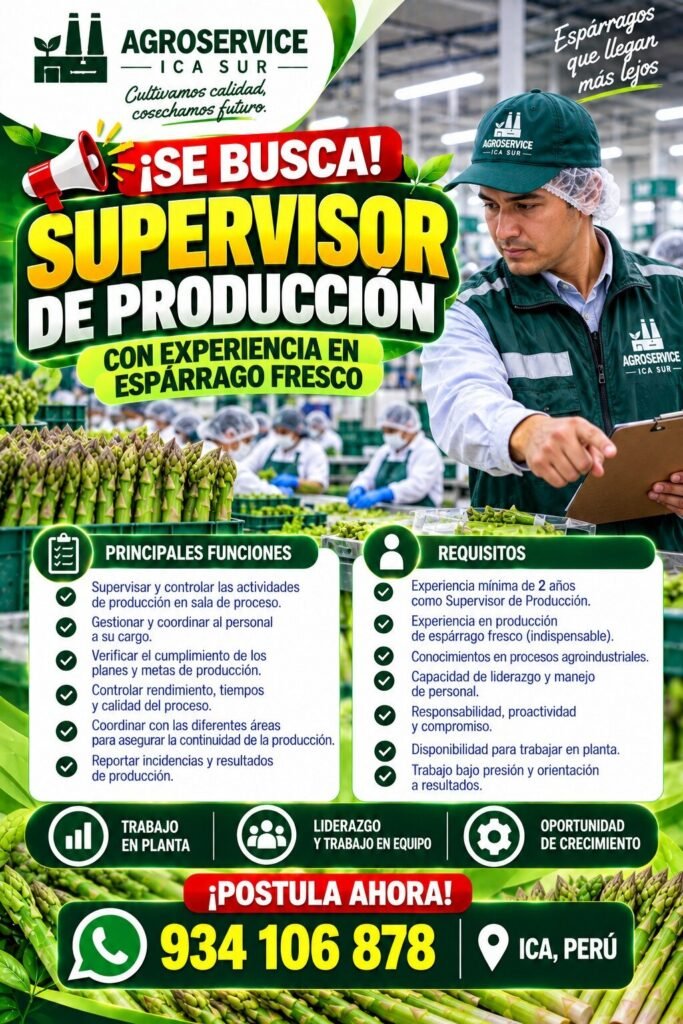 Supervisor de producción - Imagen 2