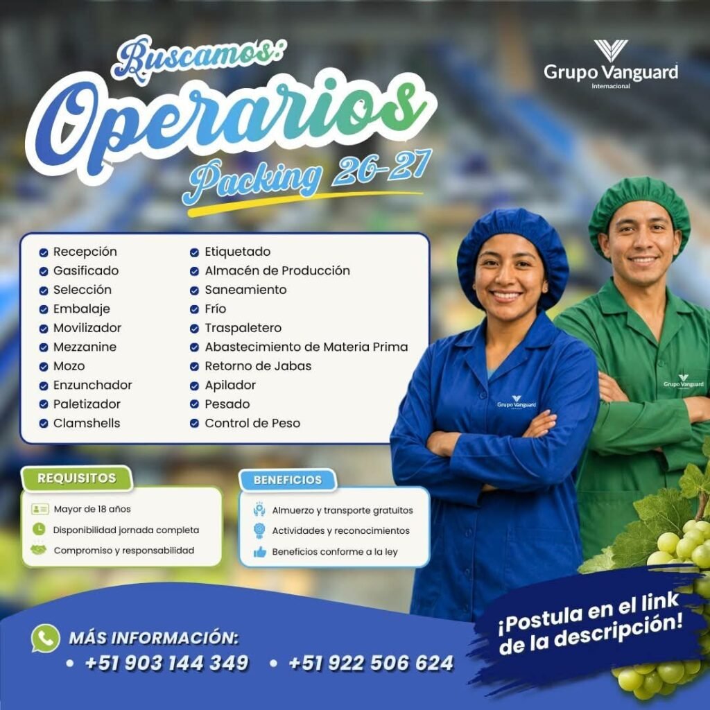 Buscamos operarios de packing de uva – Grupo Vanguard