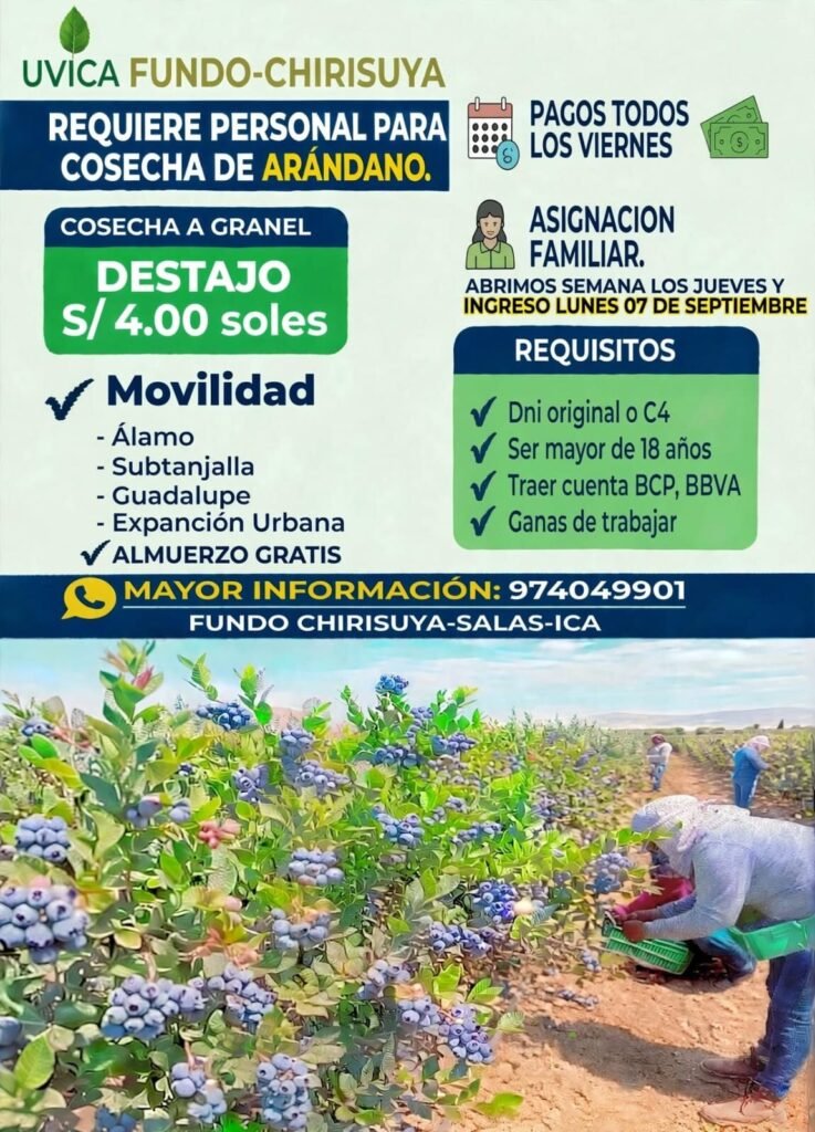 50 personas para fundo chirisuya