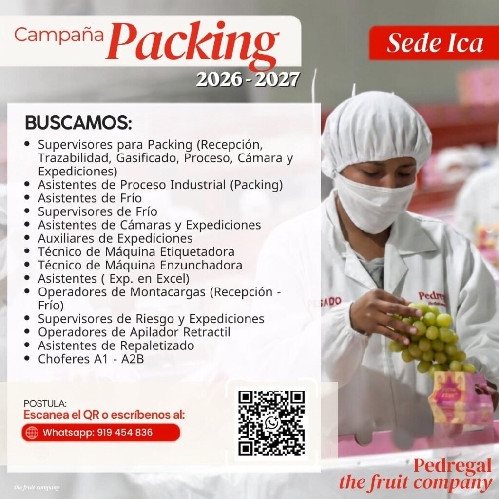 Campaña de packing en Pedregal Ica