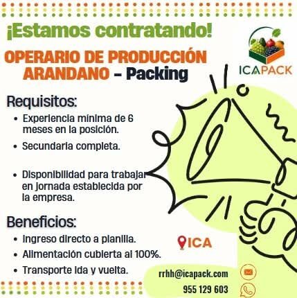 Personal para Icapack - Imagen 6