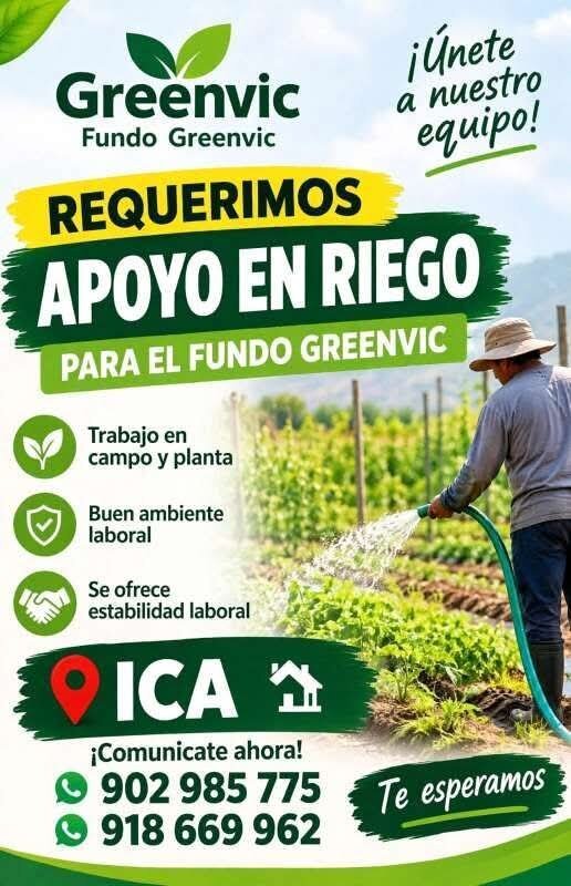 Apoyo en Riego en Fundo Greenvic, Ica