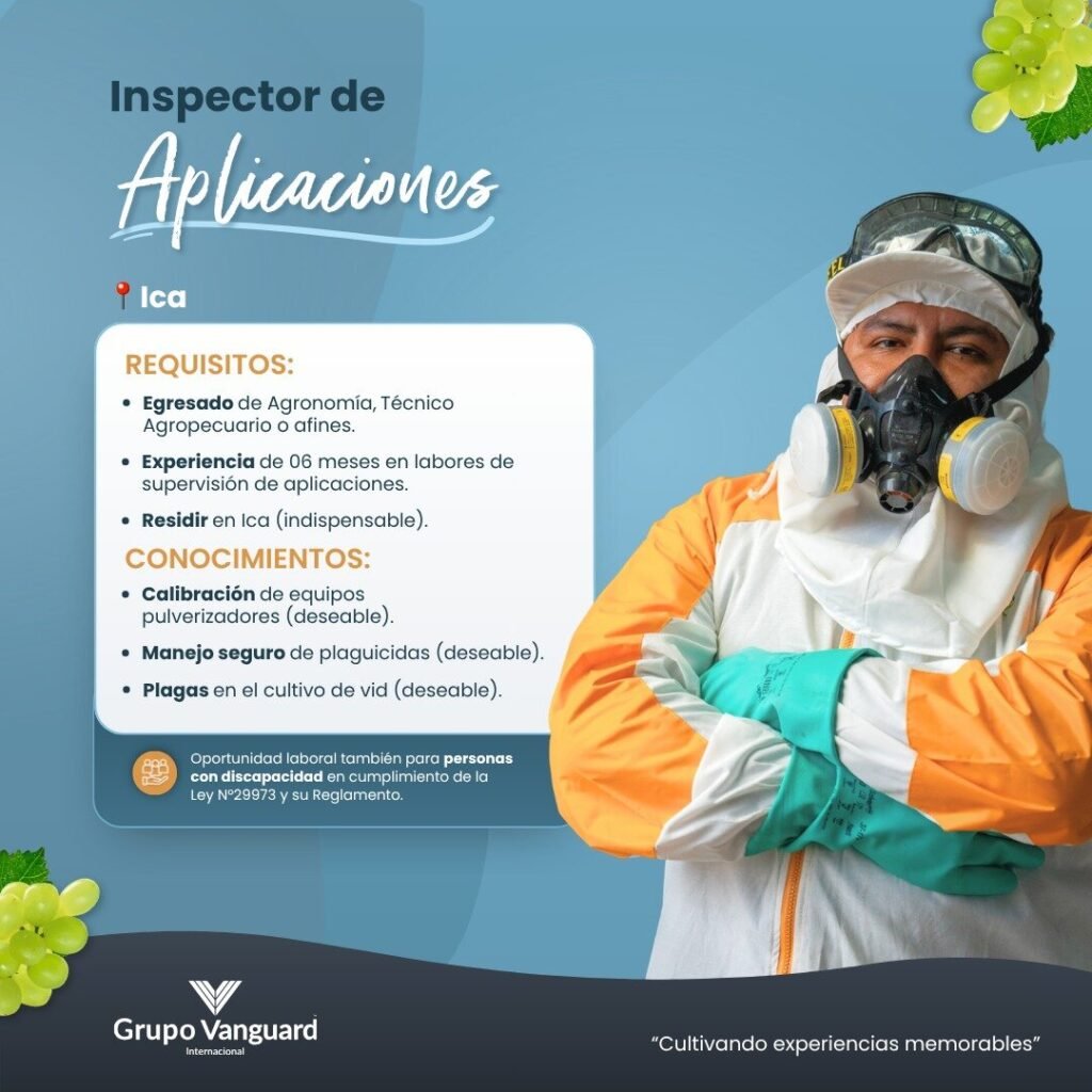Inspector(a) de Aplicaciones