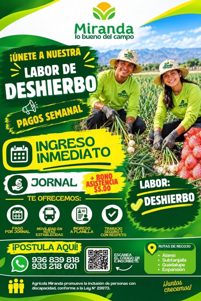 Personal para Deshierbo