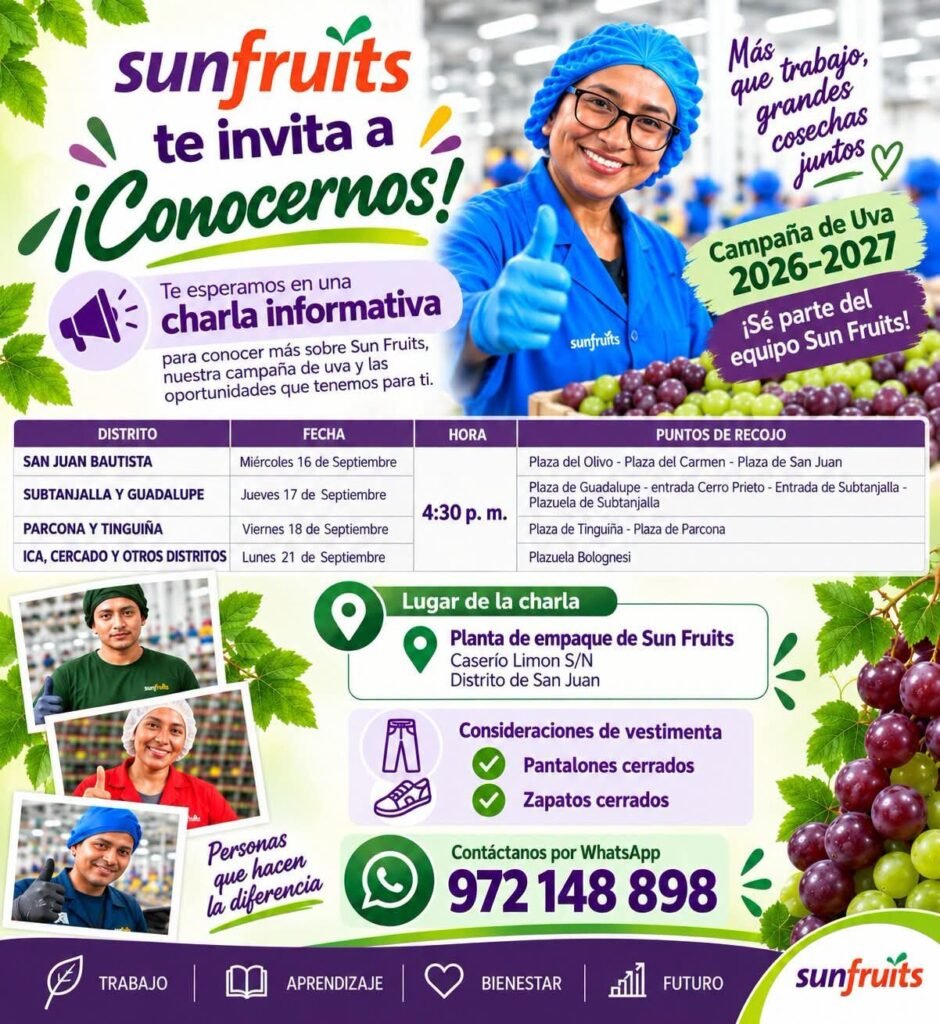 Operarios para Campaña de Uva en San Juan, Ica