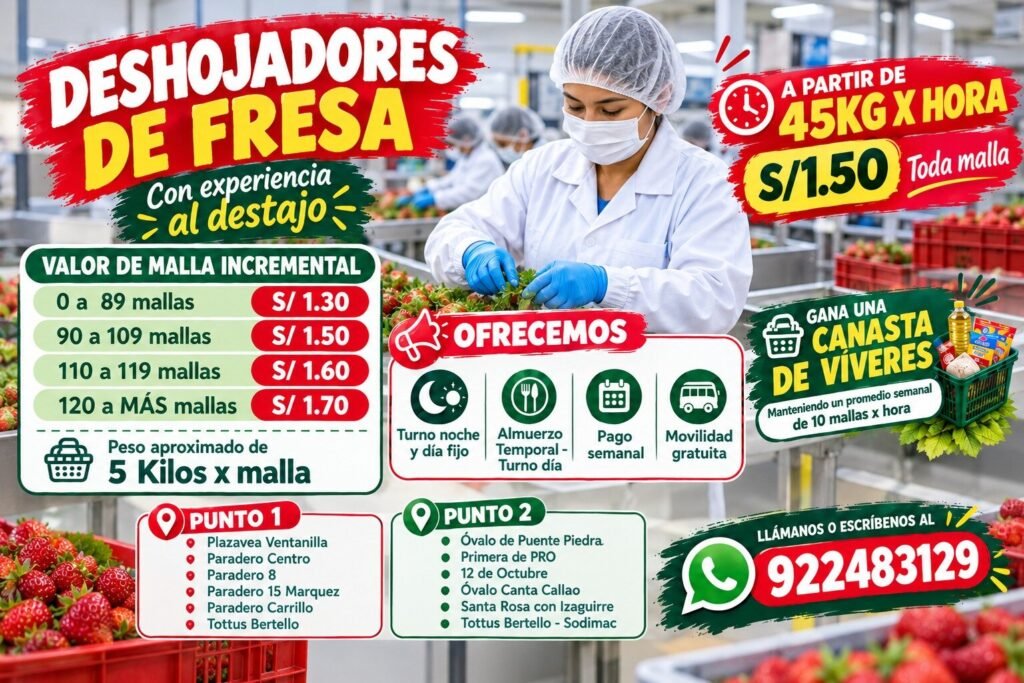 DESHOJADORES DE FRESA TURNO DIA - Imagen 2