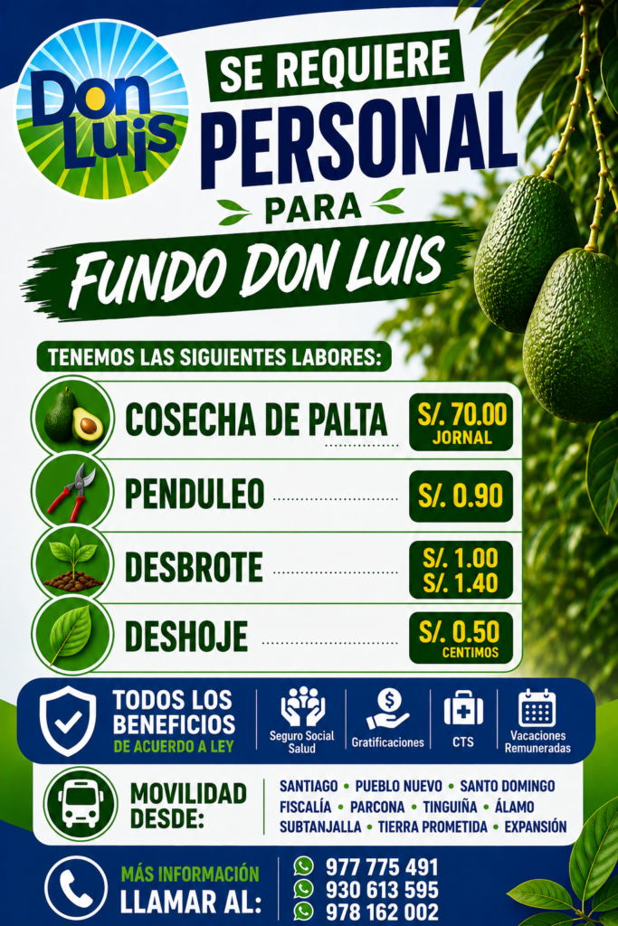 Trabajadores Agrícolas para Fundo Don Luis en Ica