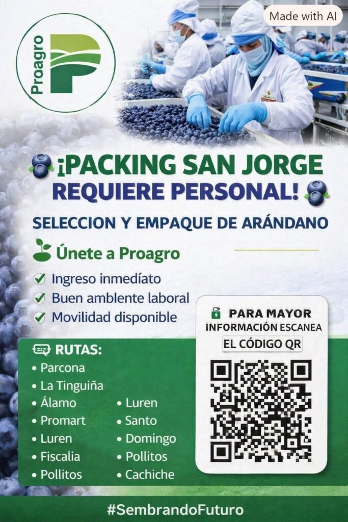 Selección y empaque de arándano — Packing San Jorge (Proagro)