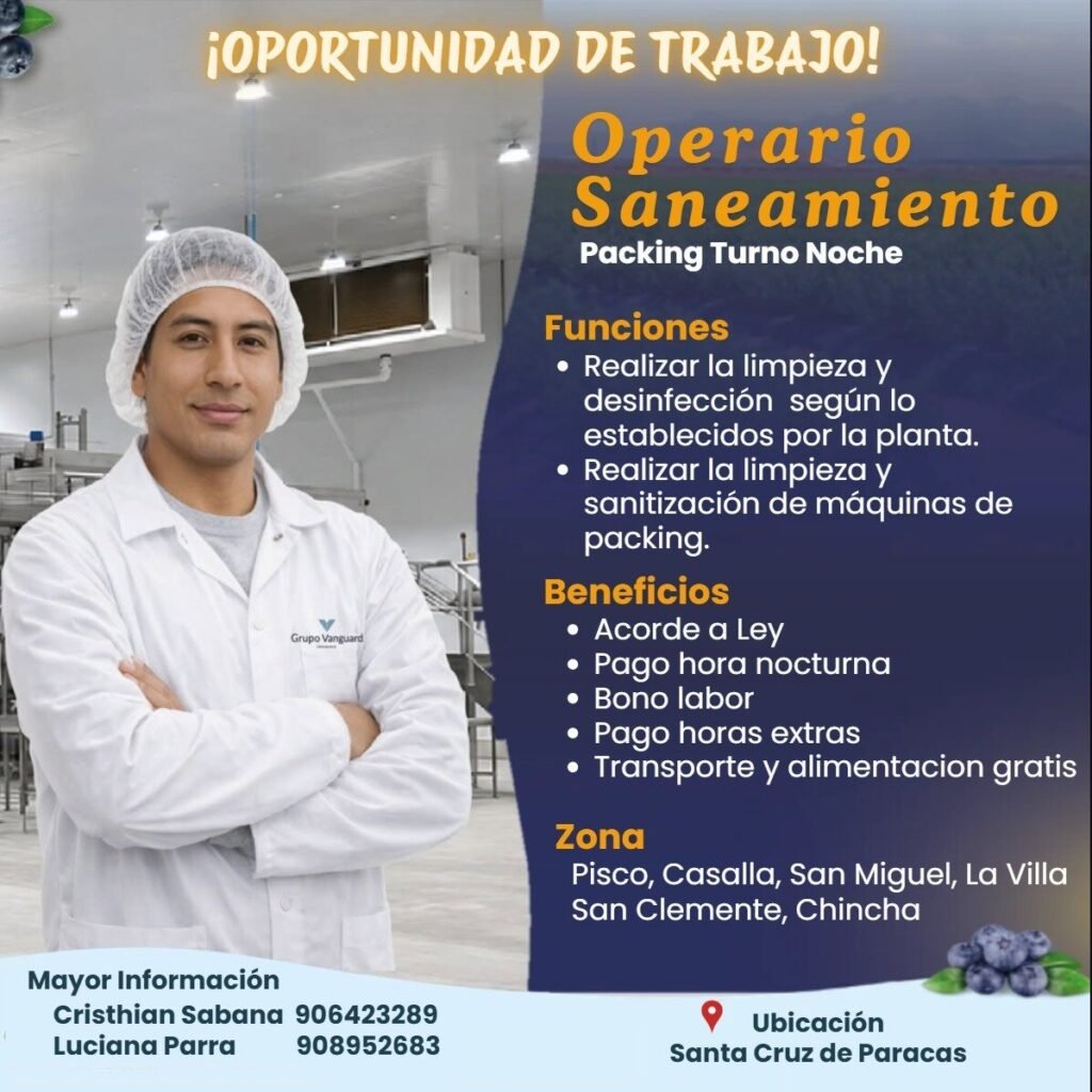 Operario saneamiento — Packing turno noche (Grupo Vanguard)