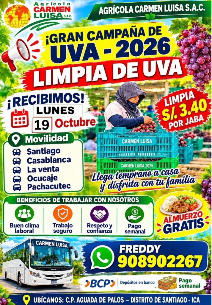 Limpia de Uva - Imagen 1
