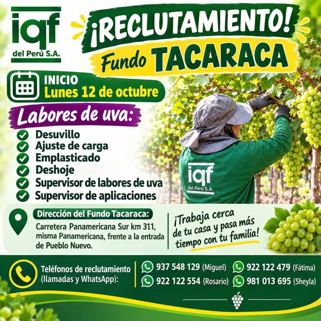 Supervisor de labores de uva y otras labores - Imagen 2