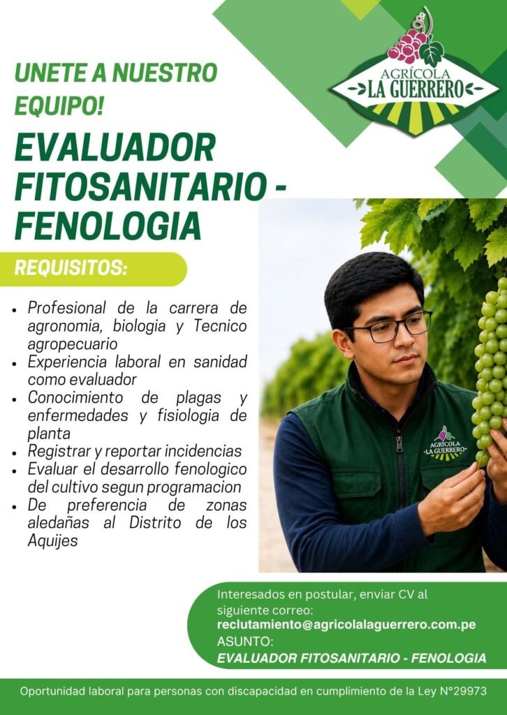 Nuevas vacantes disponibles - Imagen 2