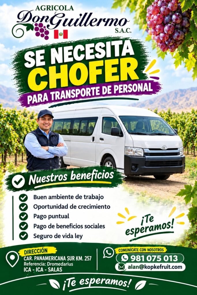 chofer para el transporte de personal - Imagen 1