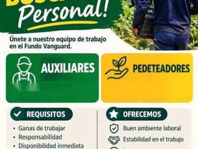 Auxliares y pedeteadores