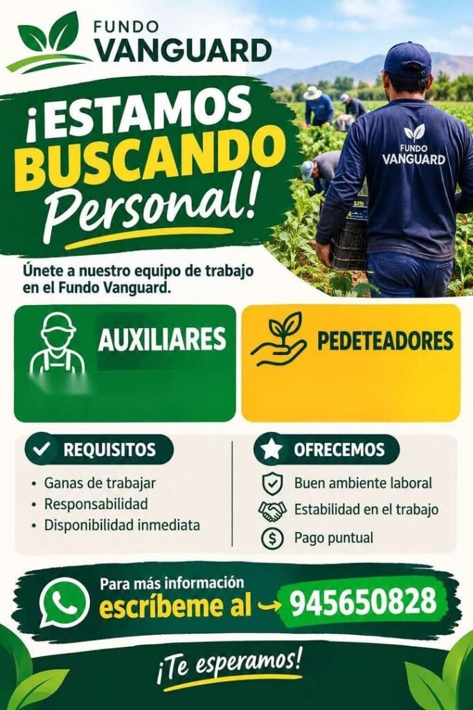 Auxliares y pedeteadores - Imagen 1
