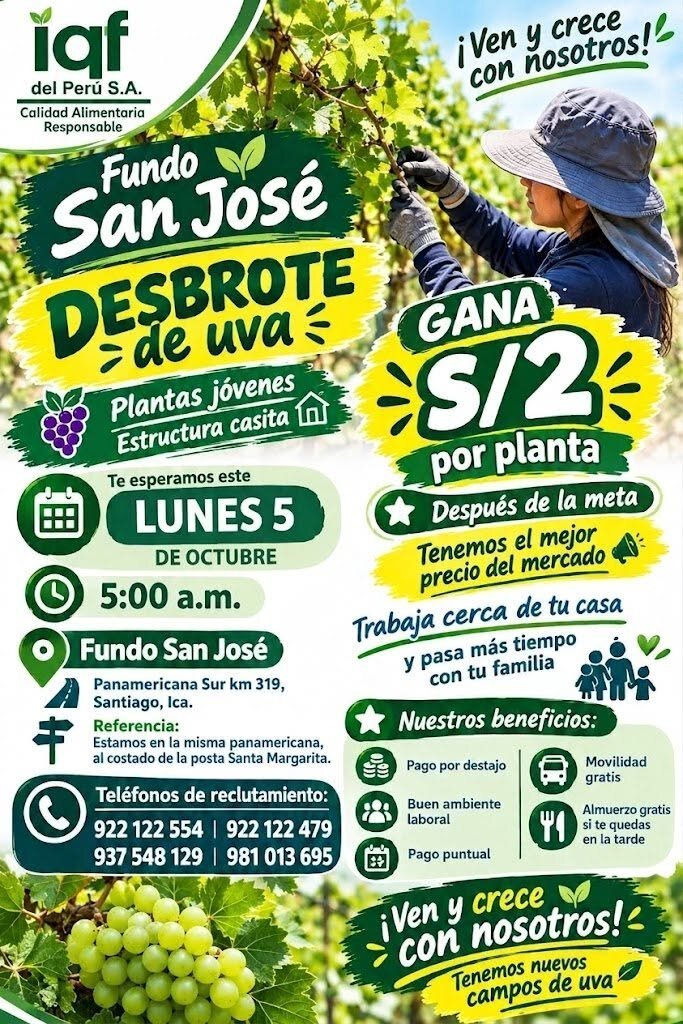 Desbrote de uva (plantas jóvenes) - Imagen 1