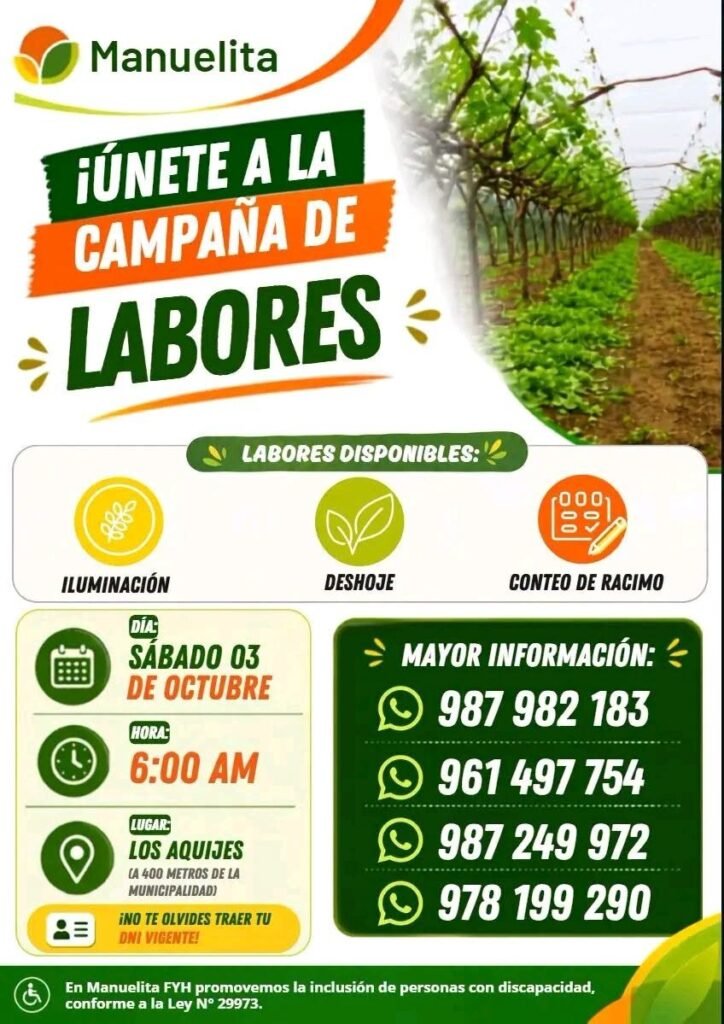 Iluminacion, deshoje y conteo de racimo - Imagen 1