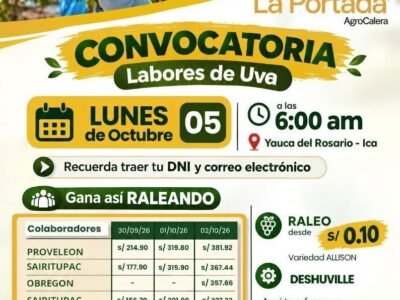 Raleo de uva