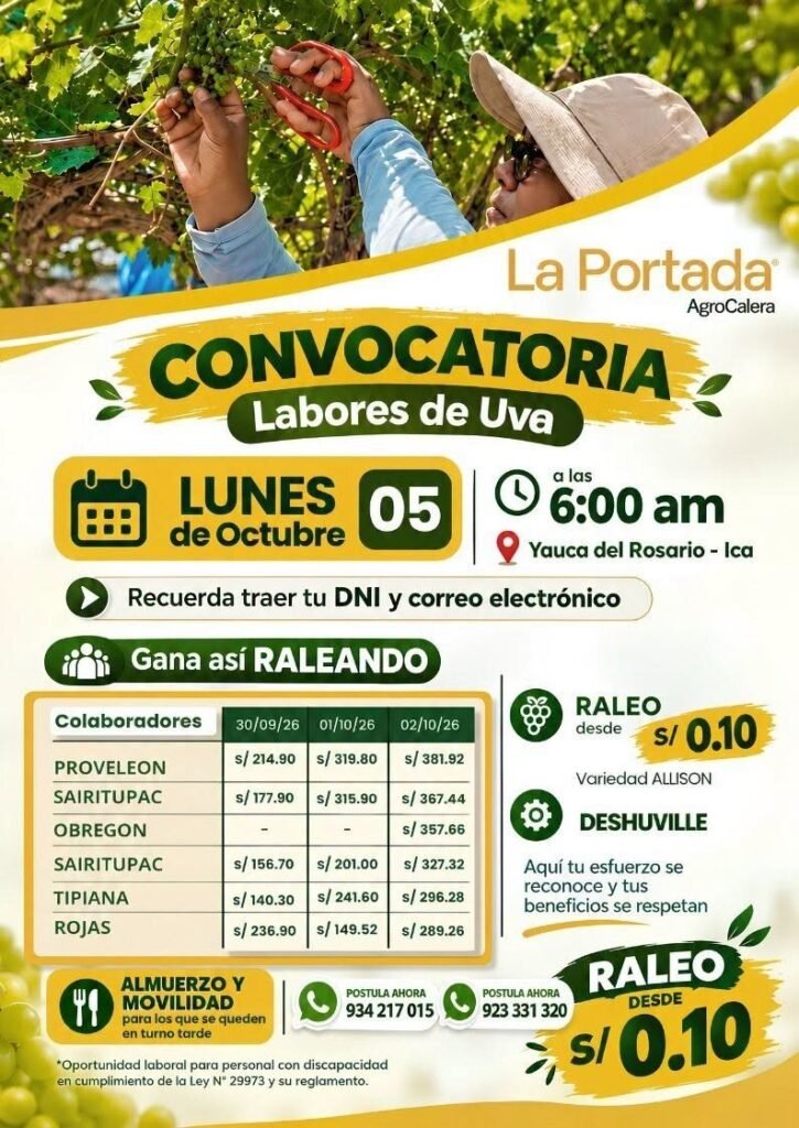 Raleo de uva - Imagen 1