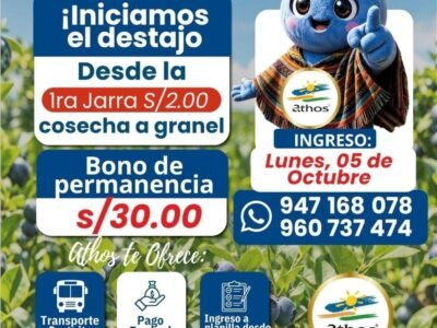 Labores de uva, arandano y granada