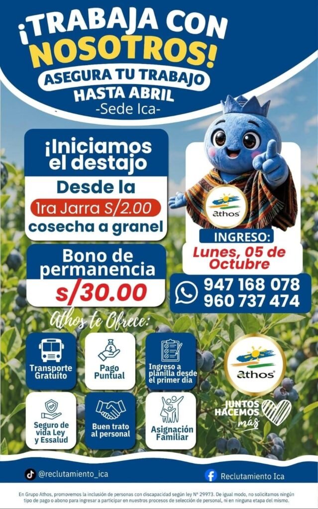 Labores de uva, arandano y granada - Imagen 1