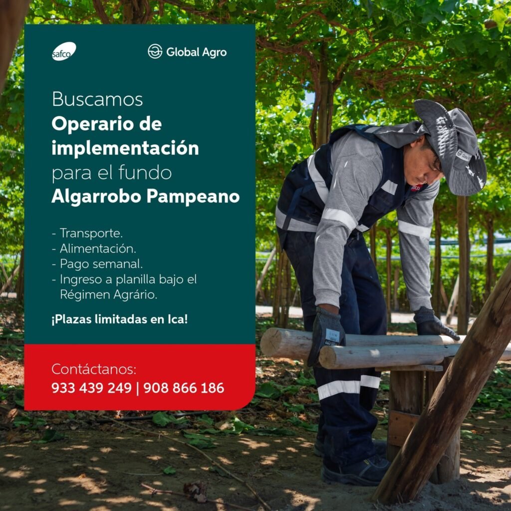 Operario de Implementación - Imagen 1