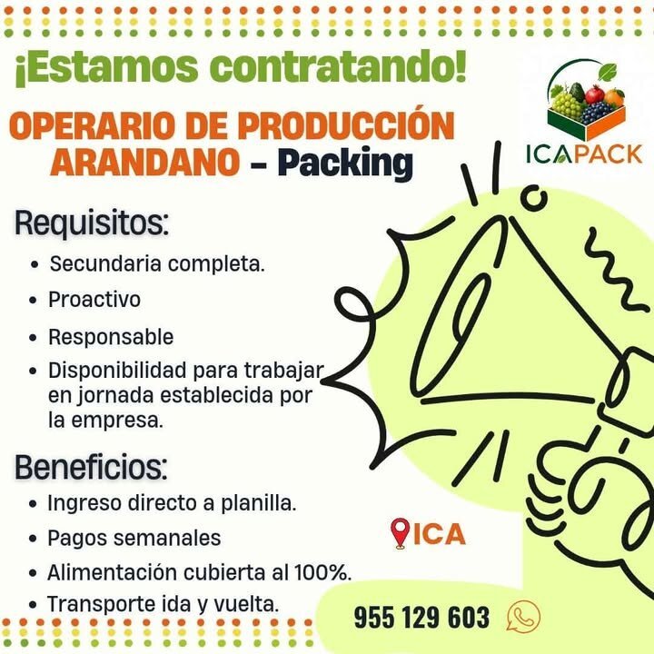 Operario de Producción de Arándano