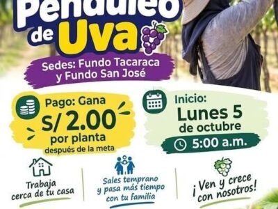 Penduleo de Uva