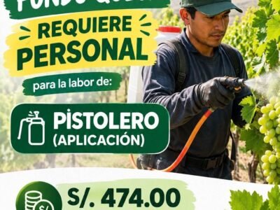 Pistolero (Aplicación)